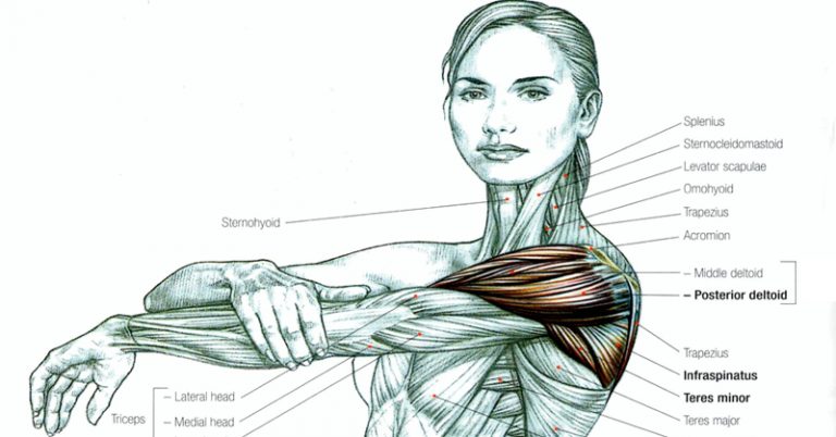 Read This Before Ever Stretching Again (and that includes for your back and sciatica pain) - Featured image