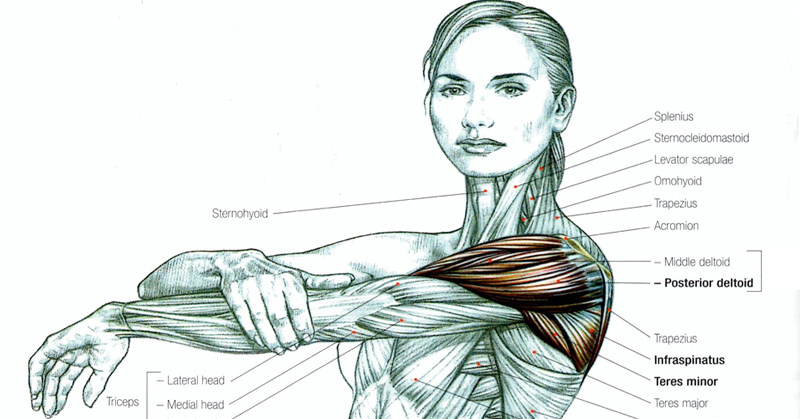 Read This Before Ever Stretching Again (and that includes for your back and sciatica pain)