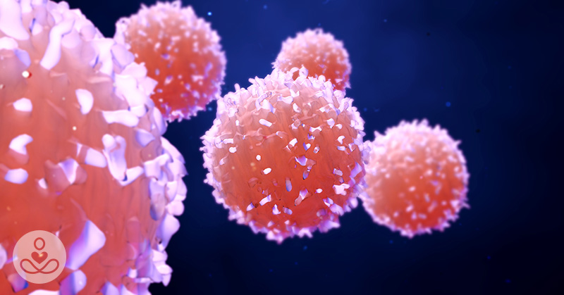 Sex And Cancer: Was Sexual Reproduction Meant to Prevent Cancer?