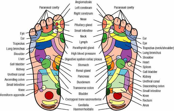 foot massage chart infographic pressure points in your feet, foot massage chart, foot massage pressure points, reflexology foot chart