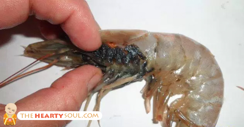 How Shrimp Farming and Other Seafoods are Threatening Your Health