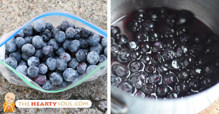 How to Flash Freeze Blueberries to Preserve Anti-Oxidant Power - Featured image