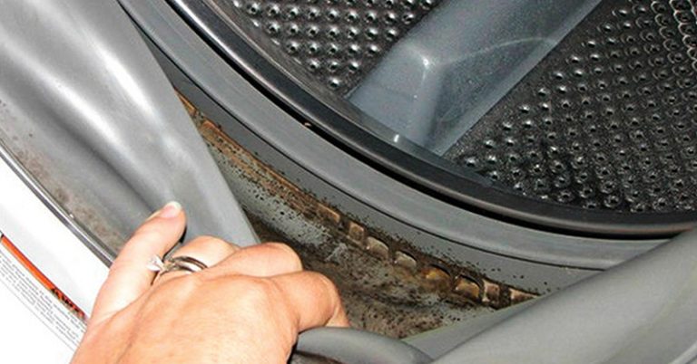 How to Remove Mold from the Washing Machine to Prevent Respiratory and Skin Infections - Featured image