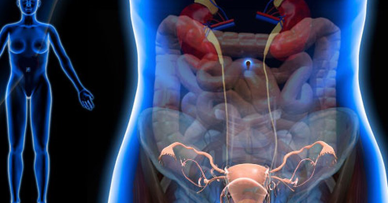 What Nobody Told You About Getting Rid of Fibromyalgia Pain