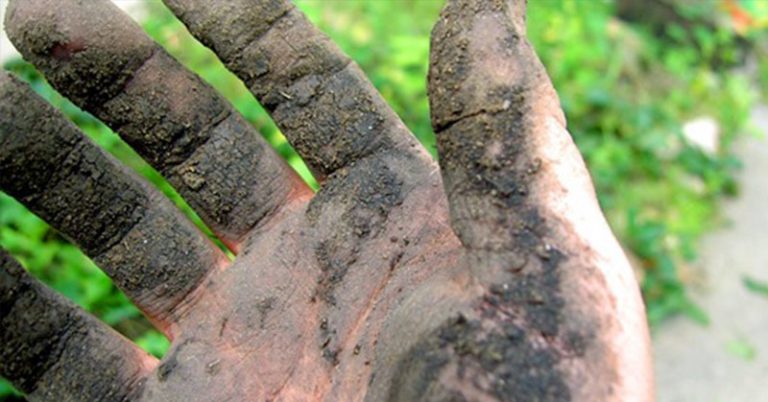 Scientists Find Natural Antidepressants In Gardening Soil - Featured image