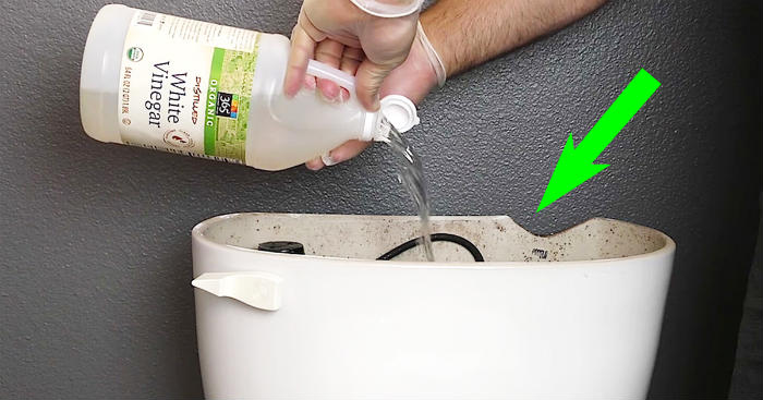how to clean your toilet naturally with white vinegar vinegar in toilet tank