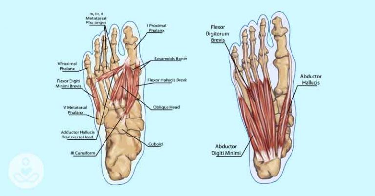 These 5 foot exercises can relieve uncomfortable back, hip and knee pain in minutes - Featured image