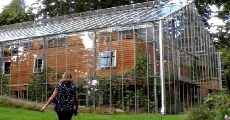 Couple builds greenhouse around home to grow food and keep warm