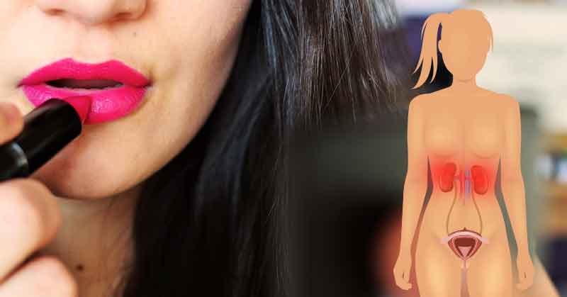 How Kidneys, Skin, and Brain Change Every Time You Put On Makeup