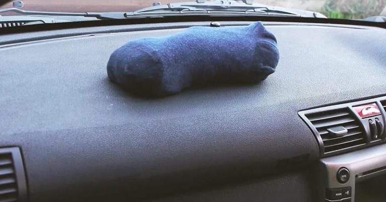 How To Defog Windows With Cat Litter - Featured image