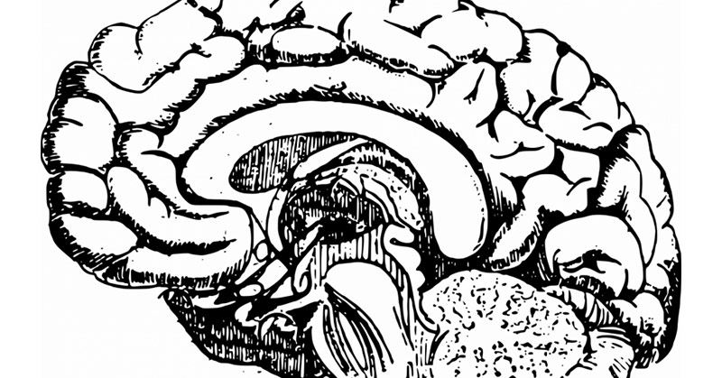 Dancing Can Reverse the Signs of Aging in the Brain – Here’s How