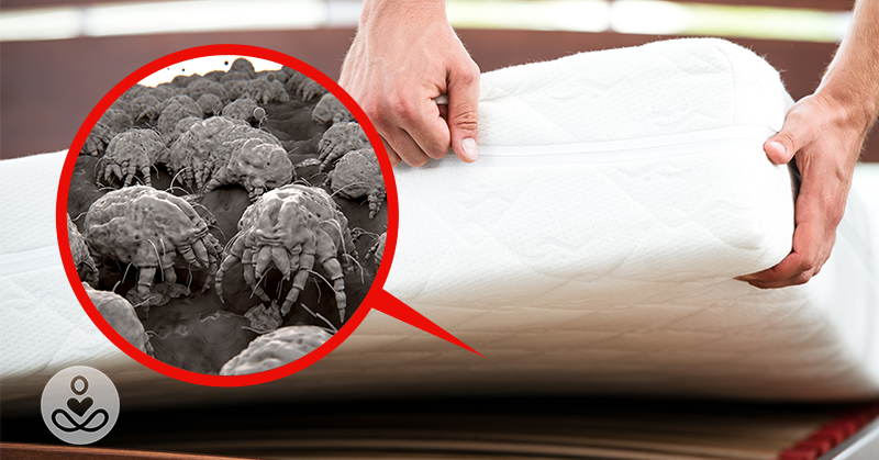 Most mattresses are filled with mold, mites and chemicals – here is how to know