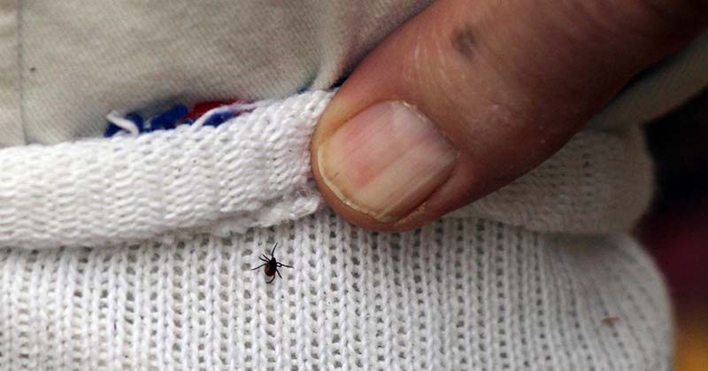 Could You Have Lyme Disease and Not Even Know It? This Woman Did.