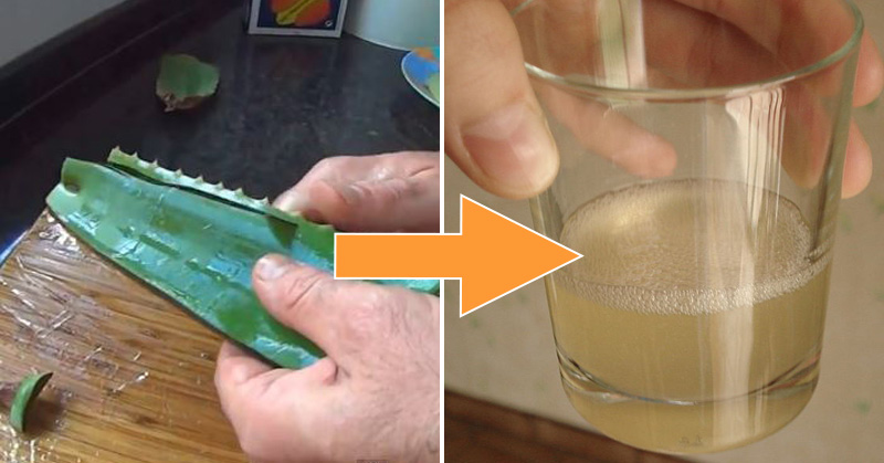 IBS, Constipation, or Diarrhea? Here’s Why You Might Want to Try Aloe Vera Water