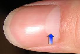 The Lunula what is lunula, lunula, nail health, fingernail health