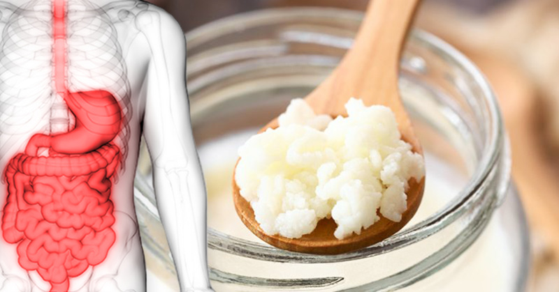 The Food That Has More Probiotics Than Yogurt and Tastes Just as Good