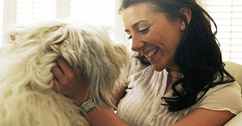 10 Tiny Actions You Didn’t Realize Your Dog Actually Loves (and Needs)