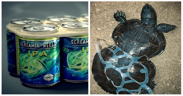 Beer Company Develops Edible Six-Pack Rings That Feed, Rather Than Kill, Marine Life - Featured image