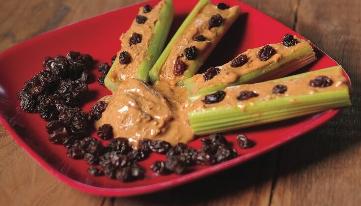 Ants on a Log Recipe