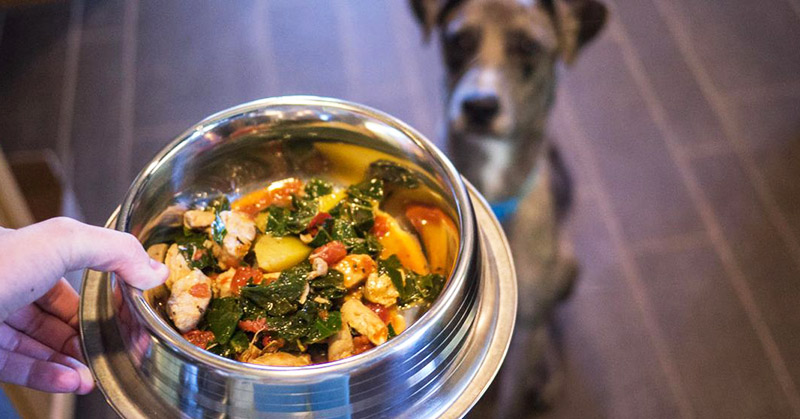20 Real Foods You Can Feed Your Dog
