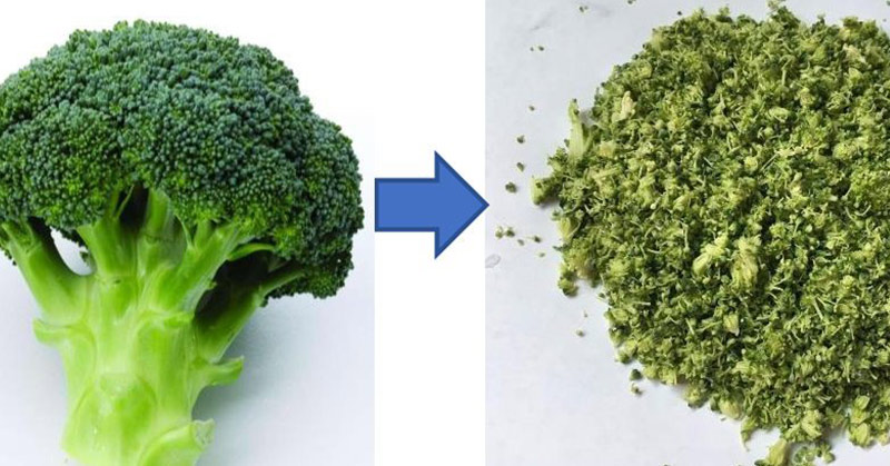 Preparing Broccoli The Best Way Possible For Your Body