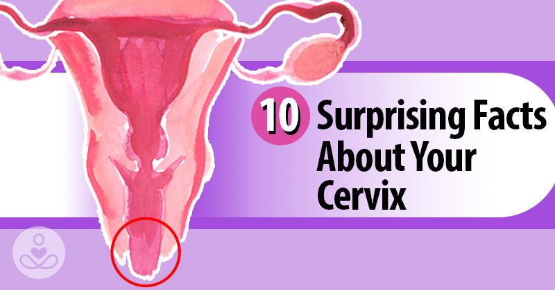 10 Facts About The Cervix Every Woman Should Know