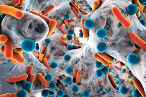Fluoroquinolone-an array of bacteria mixed together