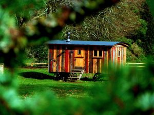 Small home living