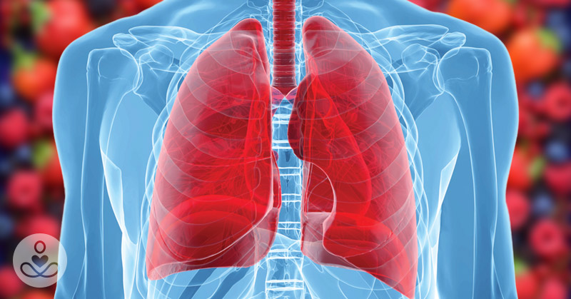Studies Show That All Lungs Will Decline After Age 30, But Eating These Foods May Help Slow It Down