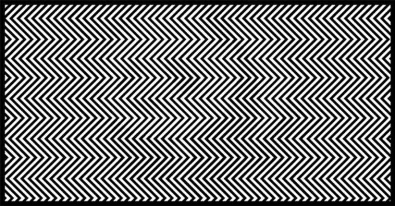 Studies Say Only 1% Of People Can Find The Animal In This Picture. Can You? - Featured image