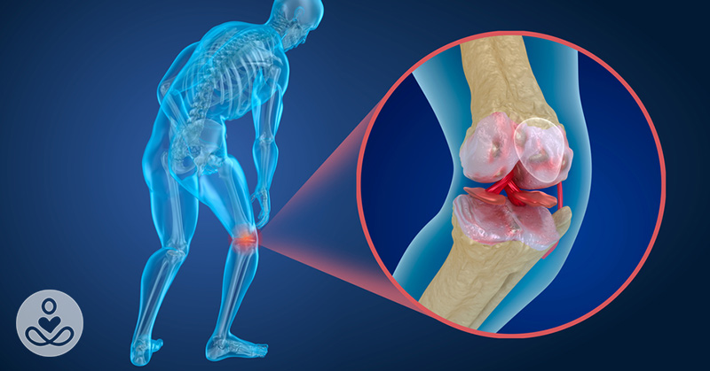 How to Support Worn Down Cartilage and Feel Like Your Joints Are New Again