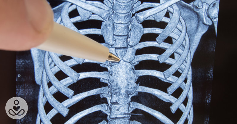 What You Need to Know About the Thymus: A Gland No One Talks About