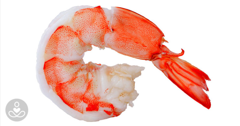 Is Shrimp Healthy? Everything You Need to Know About Shrimp Nutrition - Featured image