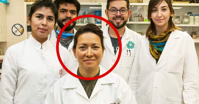 After 20 Years, Mexican Scientist Develops Treatment With Aim To Eradicate Human Papillomavirus