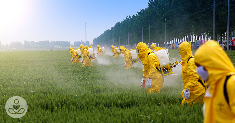 You Are Not Gluten Intolerant- You’re Glyphosate Intolerant?