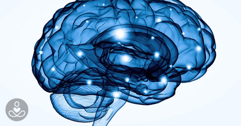 A Child’s Brain Develops Faster With Exposure to Music Education - Featured image