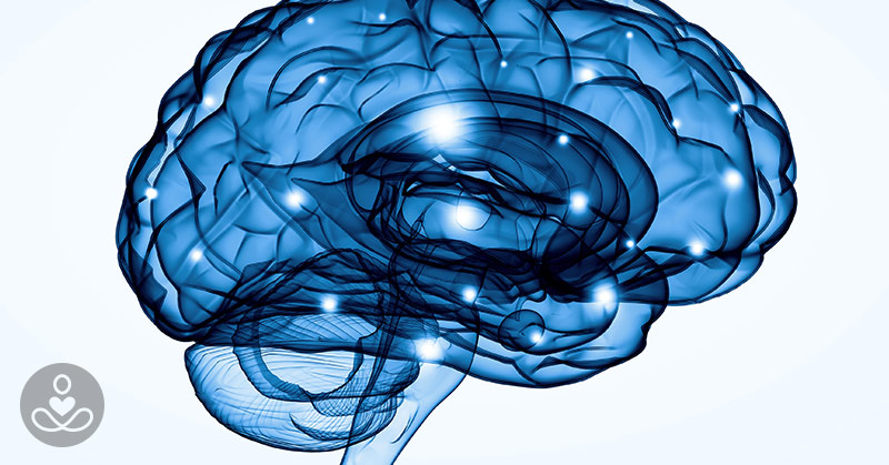 A Child’s Brain Develops Faster With Exposure to Music Education