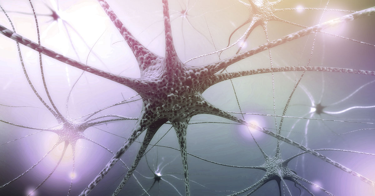 Is the Vagus Nerve the Key to Well-being?