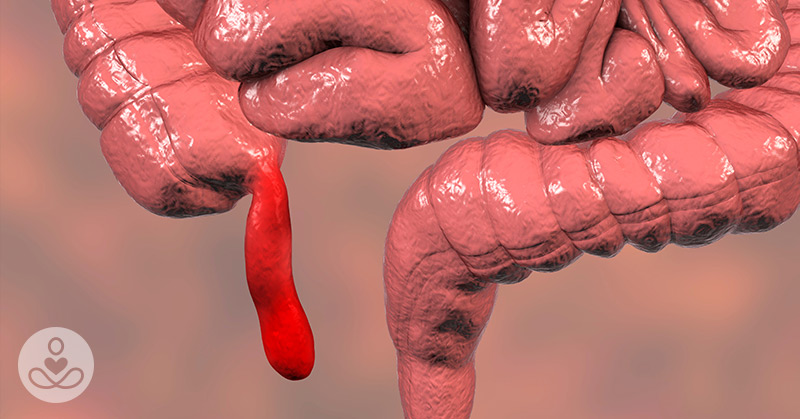 What Exactly Is the Link Between Your Appendix and Parkinson’s?