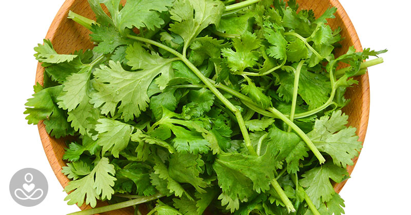Why Does Cilantro Taste Like Soap to Some?