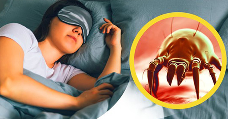 Your Pillow Case Has More Bacteria Than Your Toilet Seat if You Don’t Wash Your Sheets Often