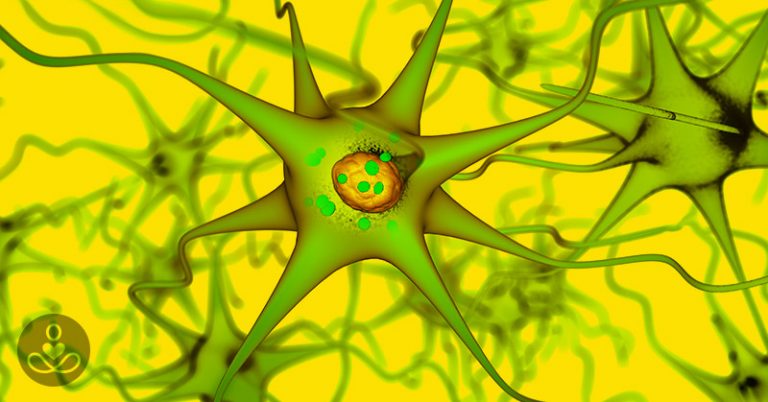 Parkinsons and the Gut-Brain Connection - Featured image