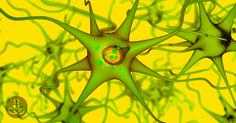 Parkinsons and the Gut-Brain Connection