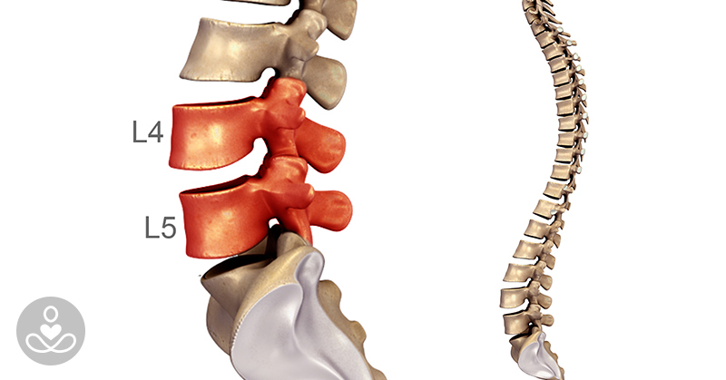 What You Need to Know About Your L4-L5 Spinal Segment