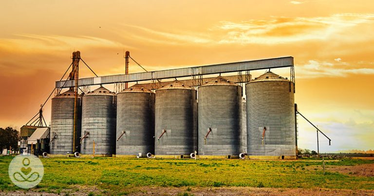 PFAS are in the US Food Supply, here’s why you should care - Featured image