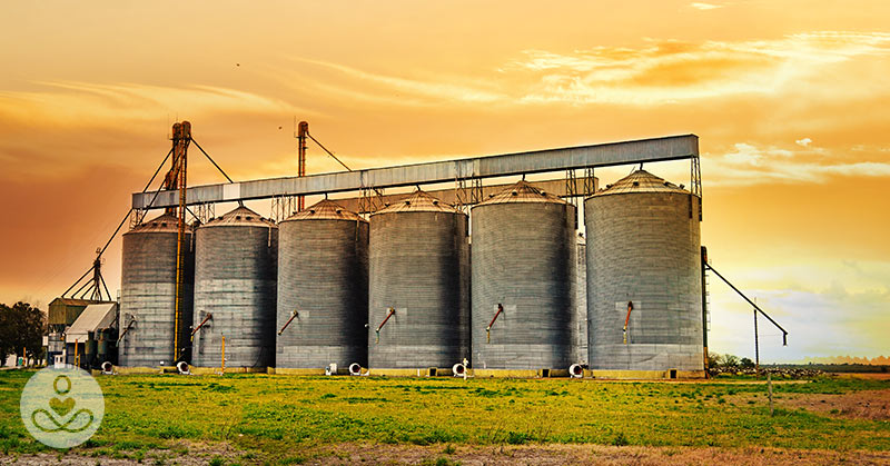 PFAS are in the US Food Supply, here’s why you should care