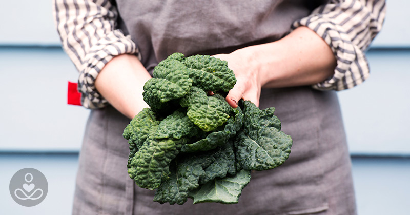 Kale One Of The Most Pesticide-contaminated Veggies You Can Buy In America