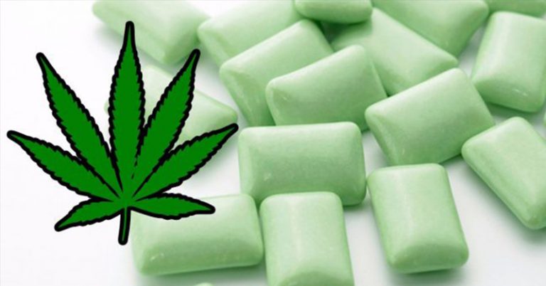 Cannabis Gum: Would You Try Chewing Your Way To Pain Relief? - Featured image