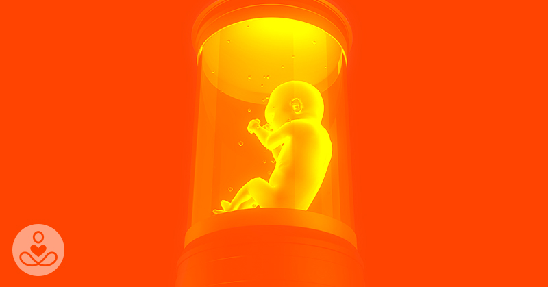 The Future Includes Babies born from Artificial Wombs