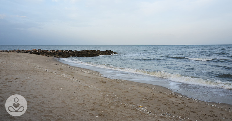 Flesh Eating Bacteria Not Just in the Water
